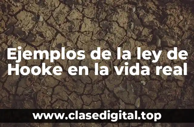 Ejemplos de la ley de Hooke en la vida real