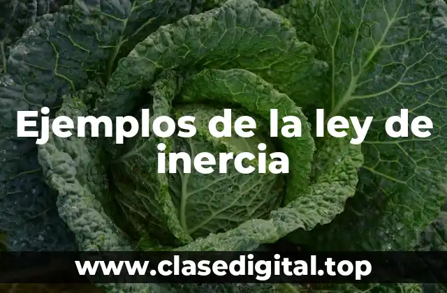 Ejemplos de la ley de inercia