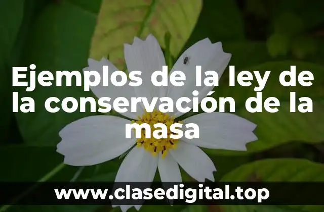 Ejemplos de la ley de la conservación de la masa