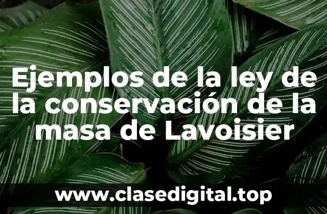 Ejemplos de la ley de la conservación de la masa de Lavoisier