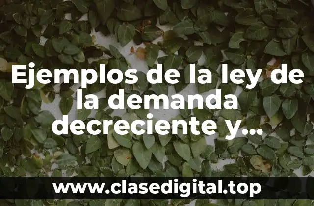 Ejemplos de la ley de la demanda decreciente y Significado