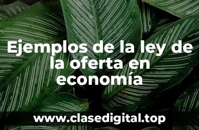 Ejemplos de la ley de la oferta en economía