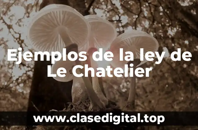 Ejemplos de la ley de Le Chatelier