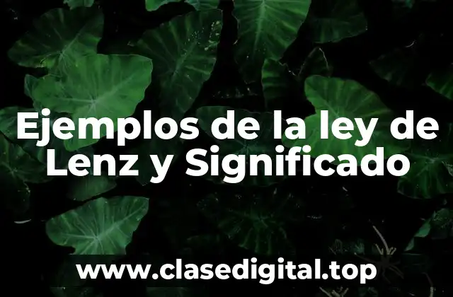 Ejemplos de la ley de Lenz y Significado