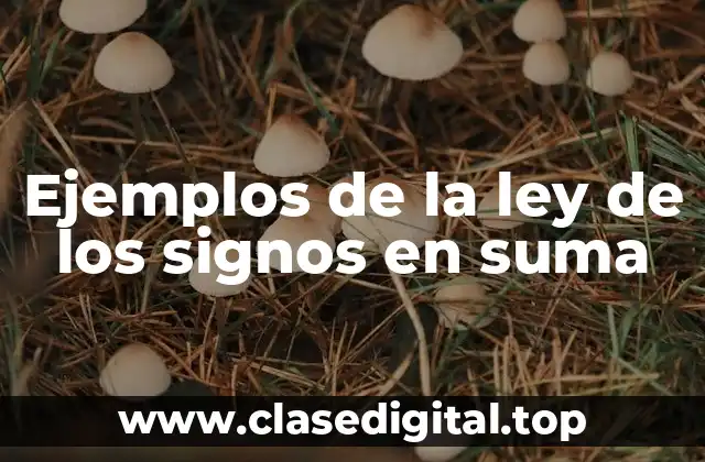 Ejemplos de la ley de los signos en suma