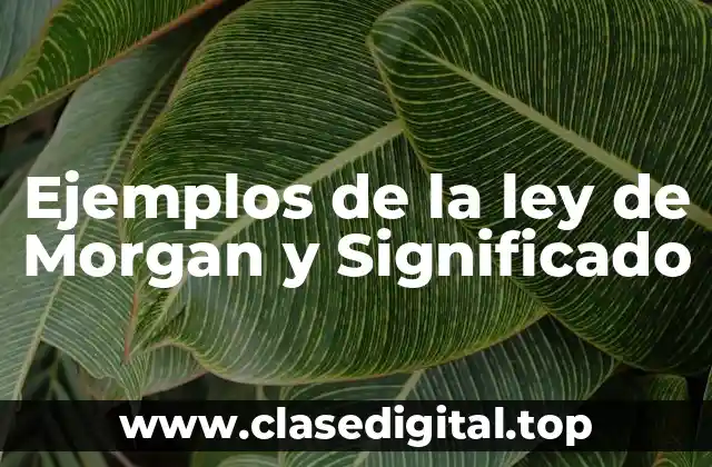 Ejemplos de la ley de Morgan