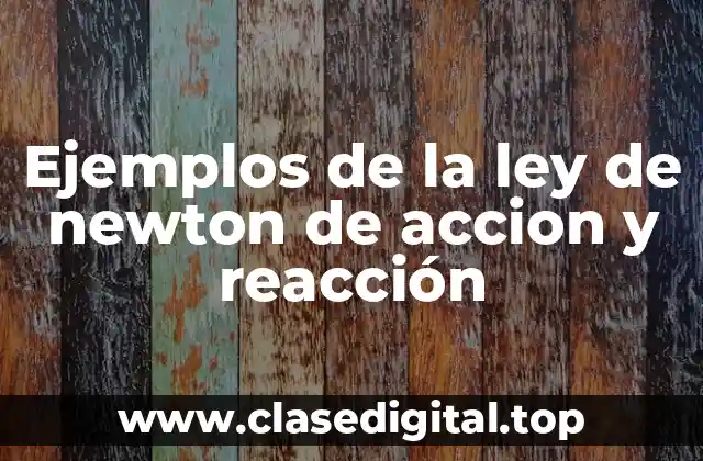 Ejemplos de la ley de newton de accion y reacción
