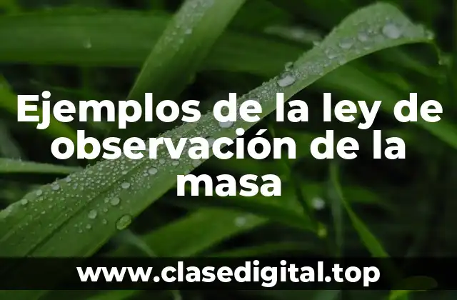 Ejemplos de la ley de observación de la masa
