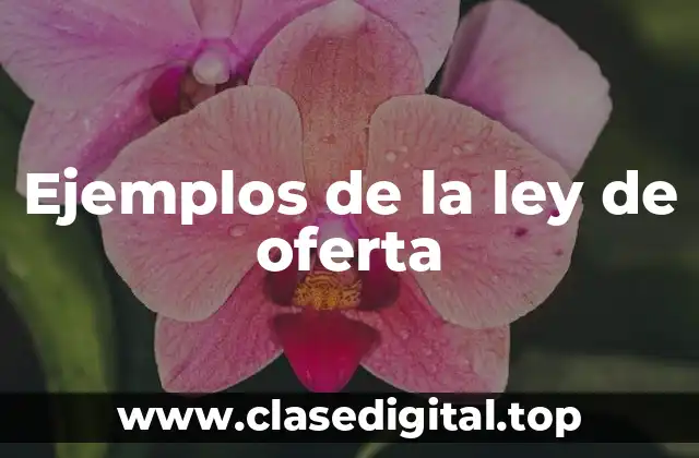 Ejemplos de la ley de oferta