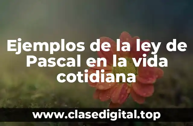 Ejemplos de la ley de Pascal en la vida cotidiana
