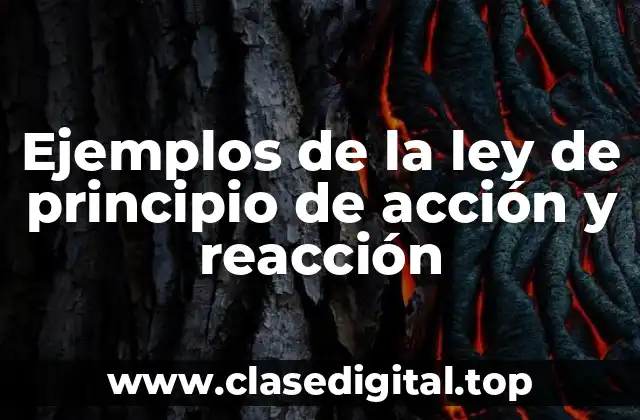 Ejemplos de la ley de principio de acción y reacción