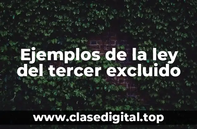Ejemplos de la ley del tercer excluido