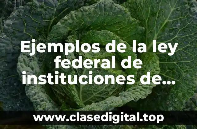 Ejemplos de la ley federal de instituciones de fianzas