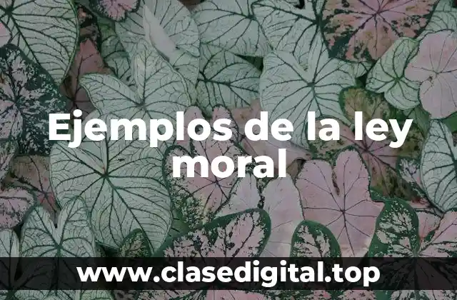 Ejemplos de la ley moral