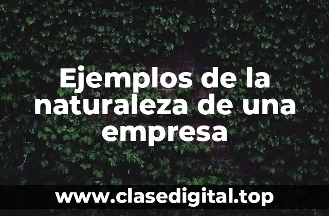 Ejemplos de la naturaleza de una empresa