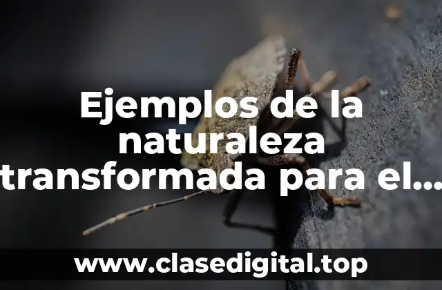 Ejemplos de la naturaleza transformada para el ser humano