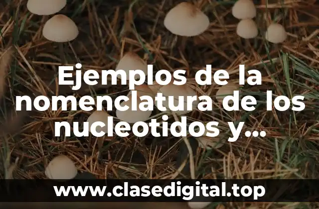 Ejemplos de la nomenclatura de los nucleotidos y nucleosidos