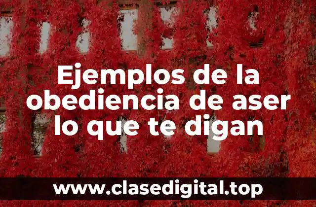 Ejemplos de la obediencia de aser lo que te digan
