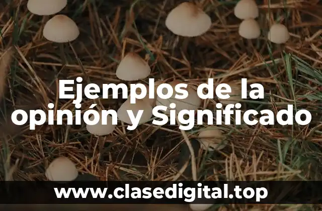 Ejemplos de la opinión y Significado