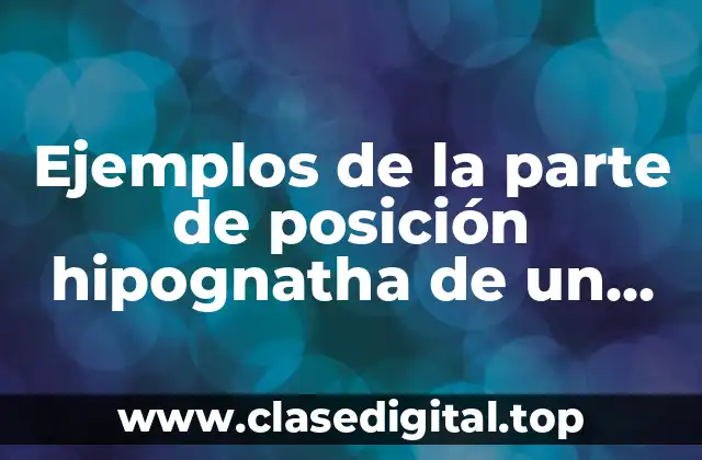Ejemplos de la parte de posición hipognatha de un insecto
