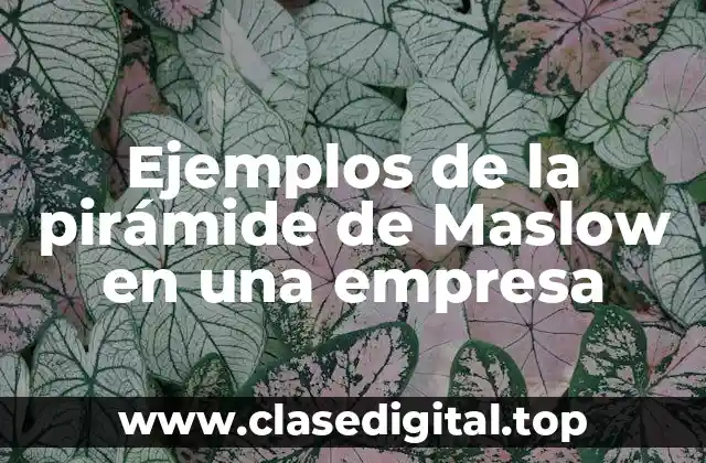 Ejemplos de la pirámide de Maslow