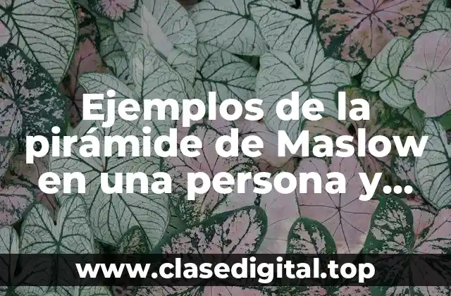 Ejemplos de la pirámide de Maslow en una persona y Significado
