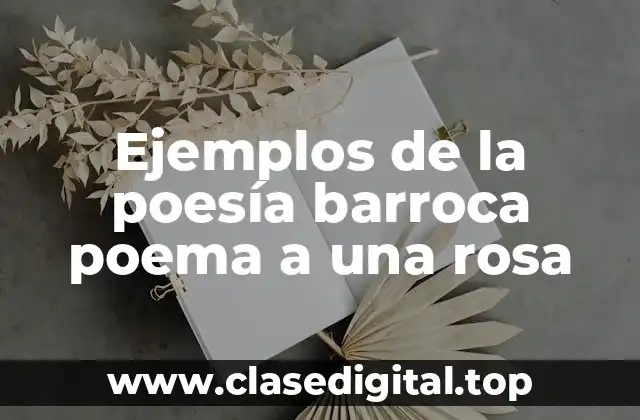 Ejemplos de la poesía barroca poema a una rosa