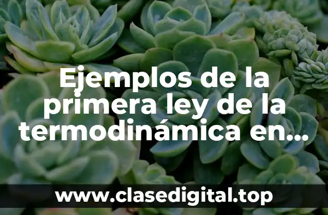 Ejemplos de la primera ley de la termodinámica en personas