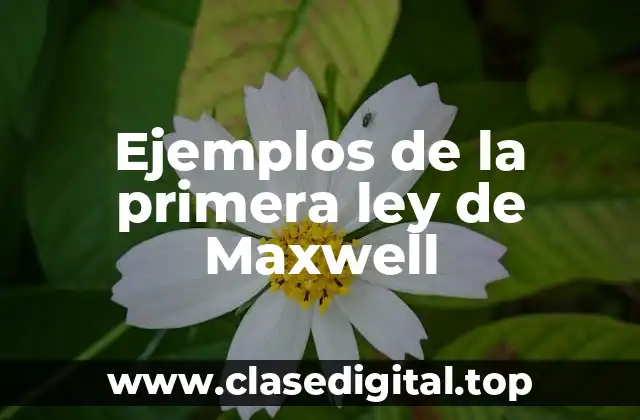 Ejemplos de la primera ley de Maxwell
