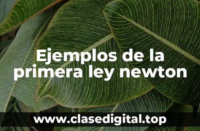Ejemplos de la primera ley newton