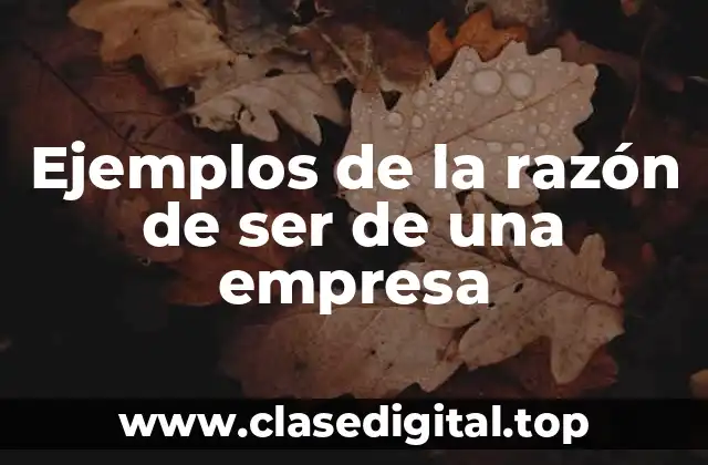 Ejemplos de la razón de ser de una empresa
