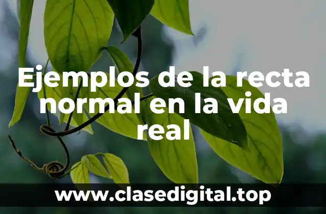 Ejemplos de la recta normal en la vida real