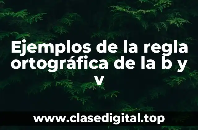 Ejemplos de la regla ortográfica de la b y v