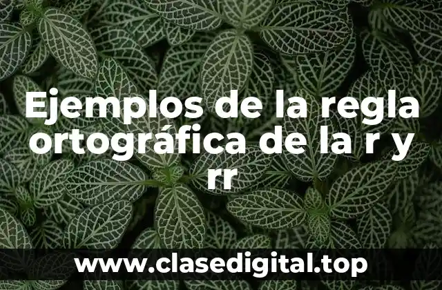 Ejemplos de la regla ortográfica de la r y rr