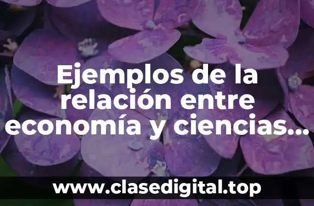 Ejemplos de la relación entre economía y ciencias exactas