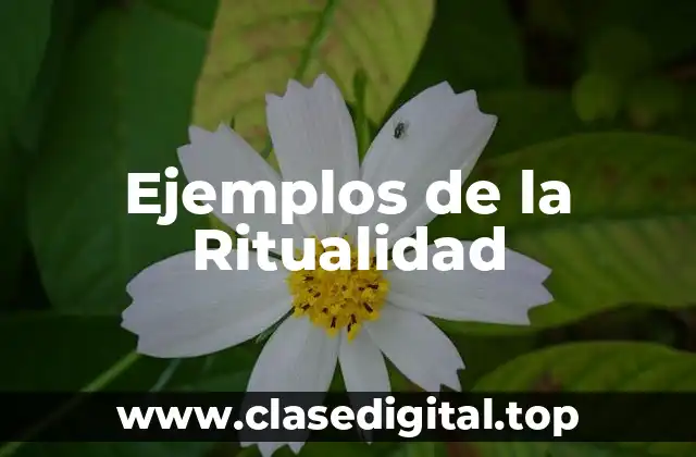 Ejemplos de la Ritualidad