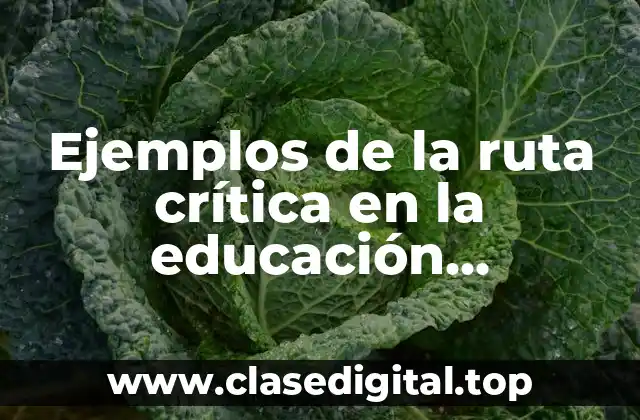 Ejemplos de la ruta crítica en la educación preescolar