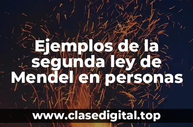 Ejemplos de la segunda ley de Mendel en personas