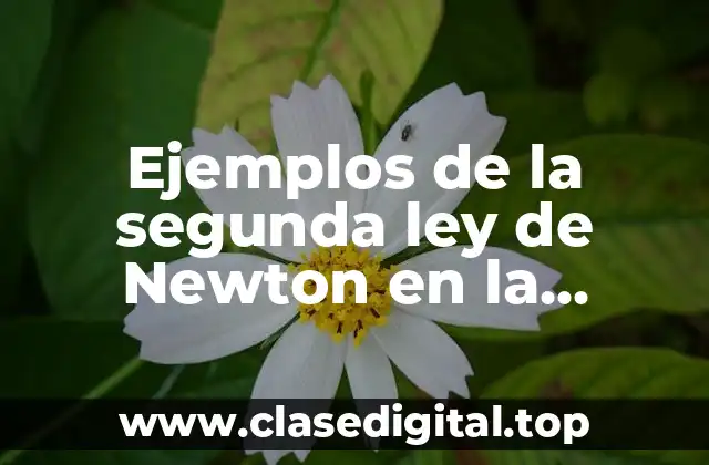 Ejemplos de la segunda ley de Newton en la ingeniería