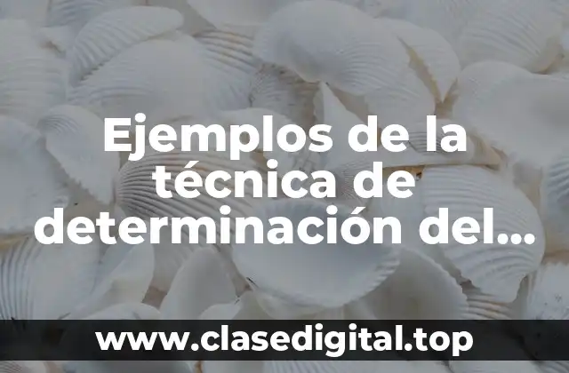 Ejemplos de la técnica de determinación del punto de reorden