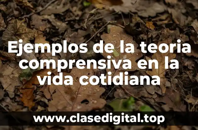 Ejemplos de la teoria comprensiva en la vida cotidiana