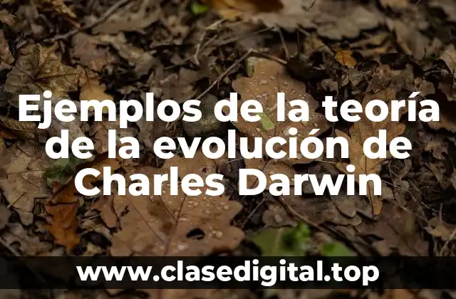 Ejemplos de la teoría de la evolución de Charles Darwin
