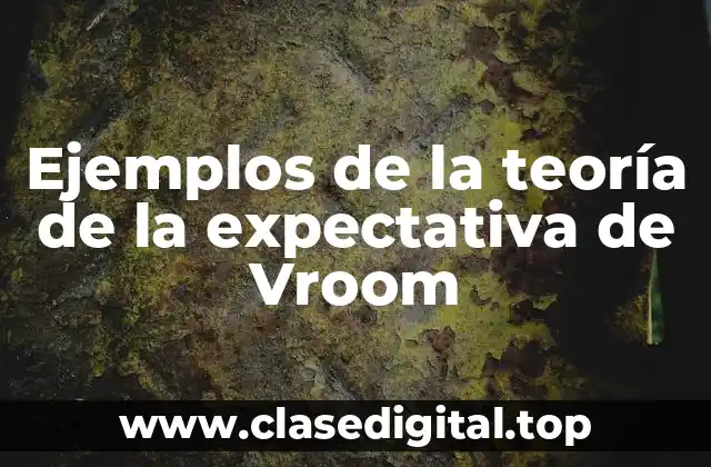 Ejemplos de la teoría de la expectativa de Vroom