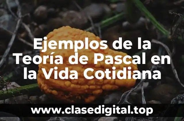 Ejemplos de la Teoría de Pascal en la Vida Cotidiana