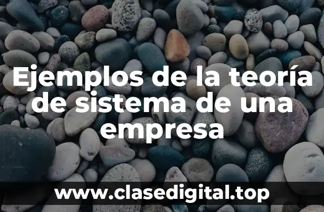 Ejemplos de la teoría de sistema de una empresa