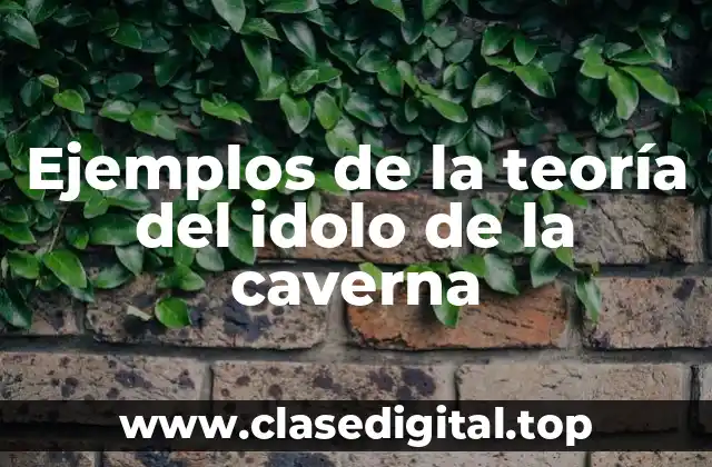Ejemplos de la teoría del idolo de la caverna