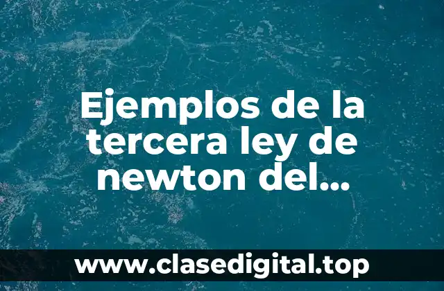 Ejemplos de la tercera ley de newton del movimiento