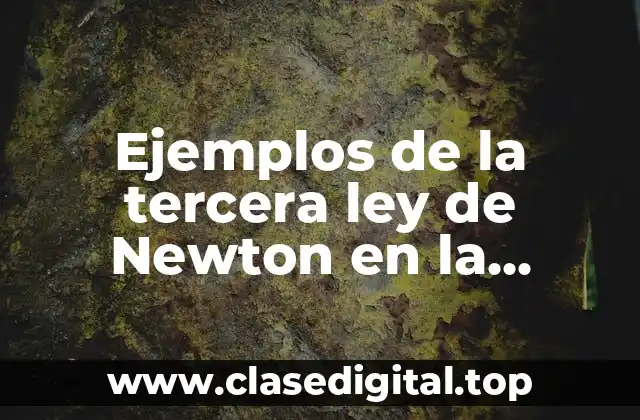 Ejemplos de la tercera ley de Newton en la naturaleza