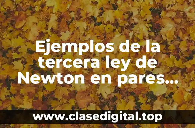 Ejemplos de la tercera ley de Newton en pares iguales