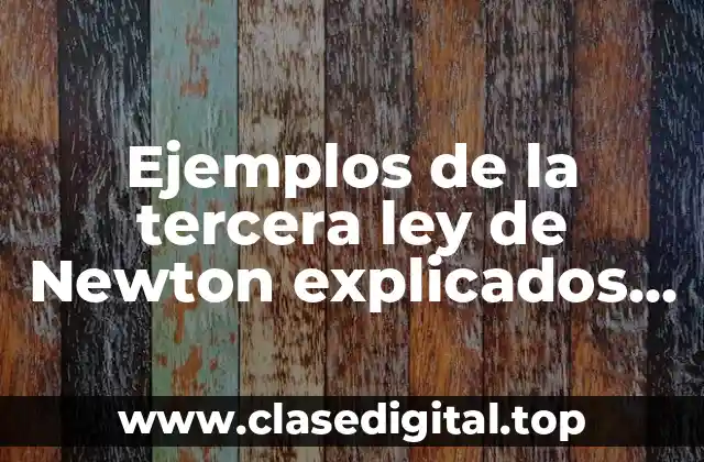 Ejemplos de la tercera ley de Newton explicados fisica LifeProof